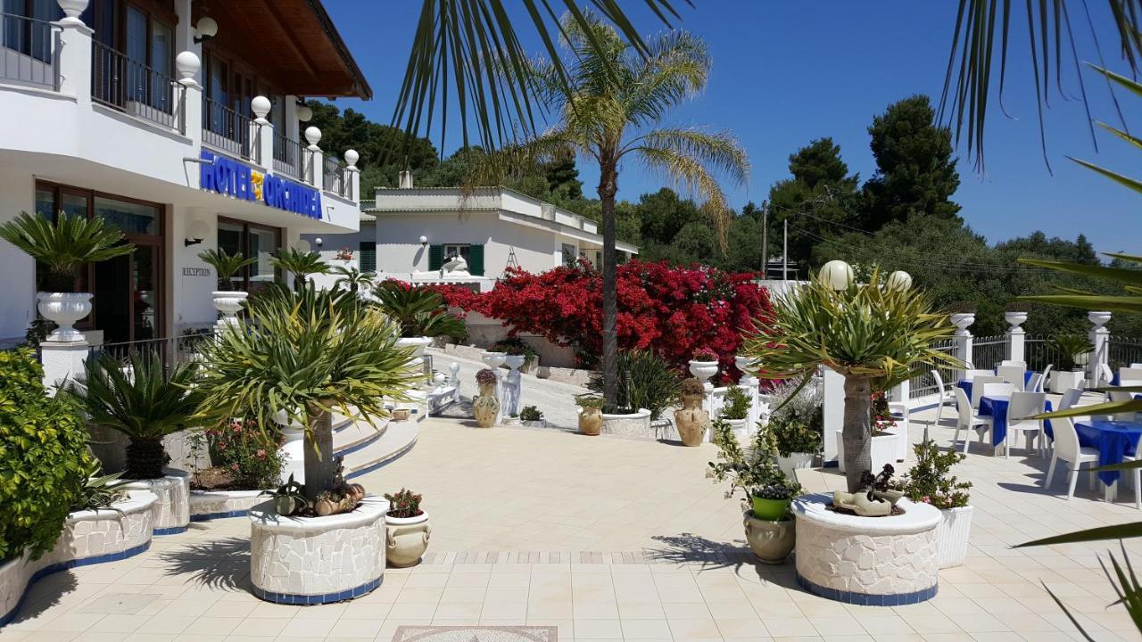 Hotel Orchidea Peschici Exterior photo